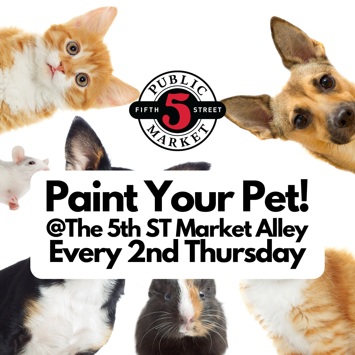 ​🐾🎨 Paint-Your-Pet Night at 5th St Market Alley 🎨🐾6:30-9ish