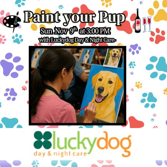 Paint your Pup with Luckydog Day &amp; Night Care- November 9 at 3:00 PM