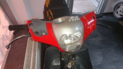 Piaggio Zip (alle Varianten)