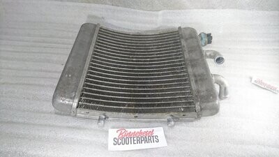 Radiator Aprilia Scarabeo 125
