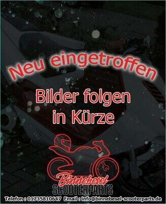 Abgasrückführungsventil Rex 4Takt