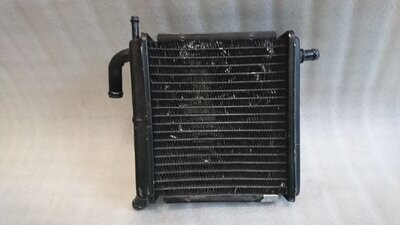 Radiator Aprilia SR50 #1