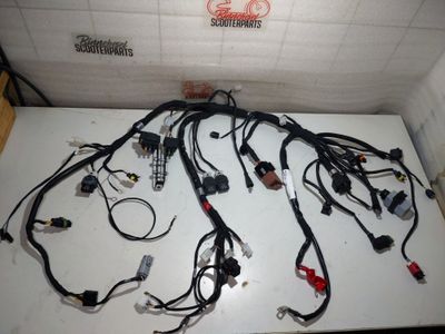 Kabelbaum Aprilia Tuono 125 IE 4T ABS E5 2021-2024 +Relais 2D000659 Kabelbaum Aprilia Tuono 125 IE 4T ABS E5 2021-2024 +Relais 2D000659