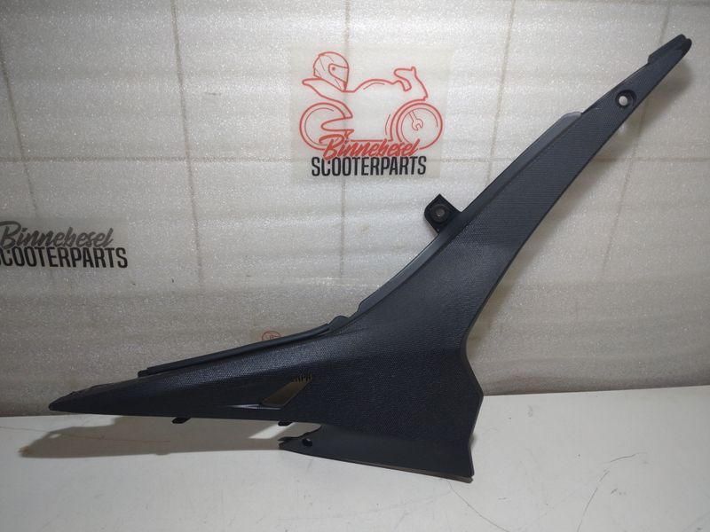 Verkleidung Aprilia Tuono 125 IE 4T ABS E5 2021-2024 Seitenteil Mitte Rechts DIS. 897691