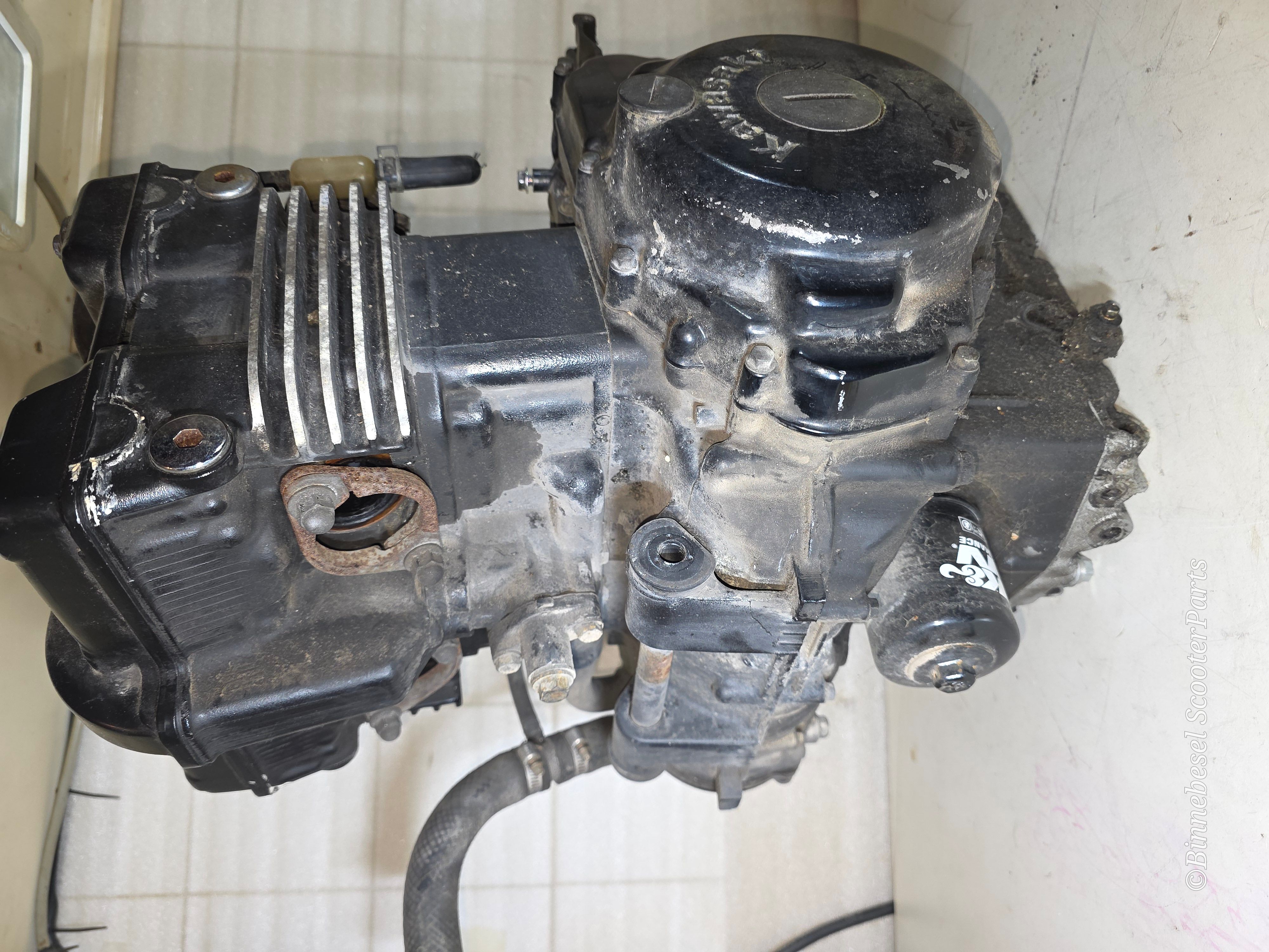 Motor Kawasaki GPZ 500s EX500D Komplett +Lichtmaschine +Anlasser EX500AE151953