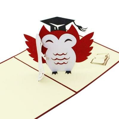 Pop Up Owl Graduation Card