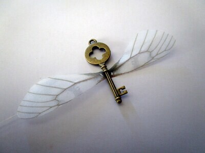 Wizard Flying Key Charm