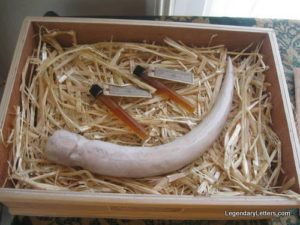 Giant Spider Fang &amp; Venom Boxed Set