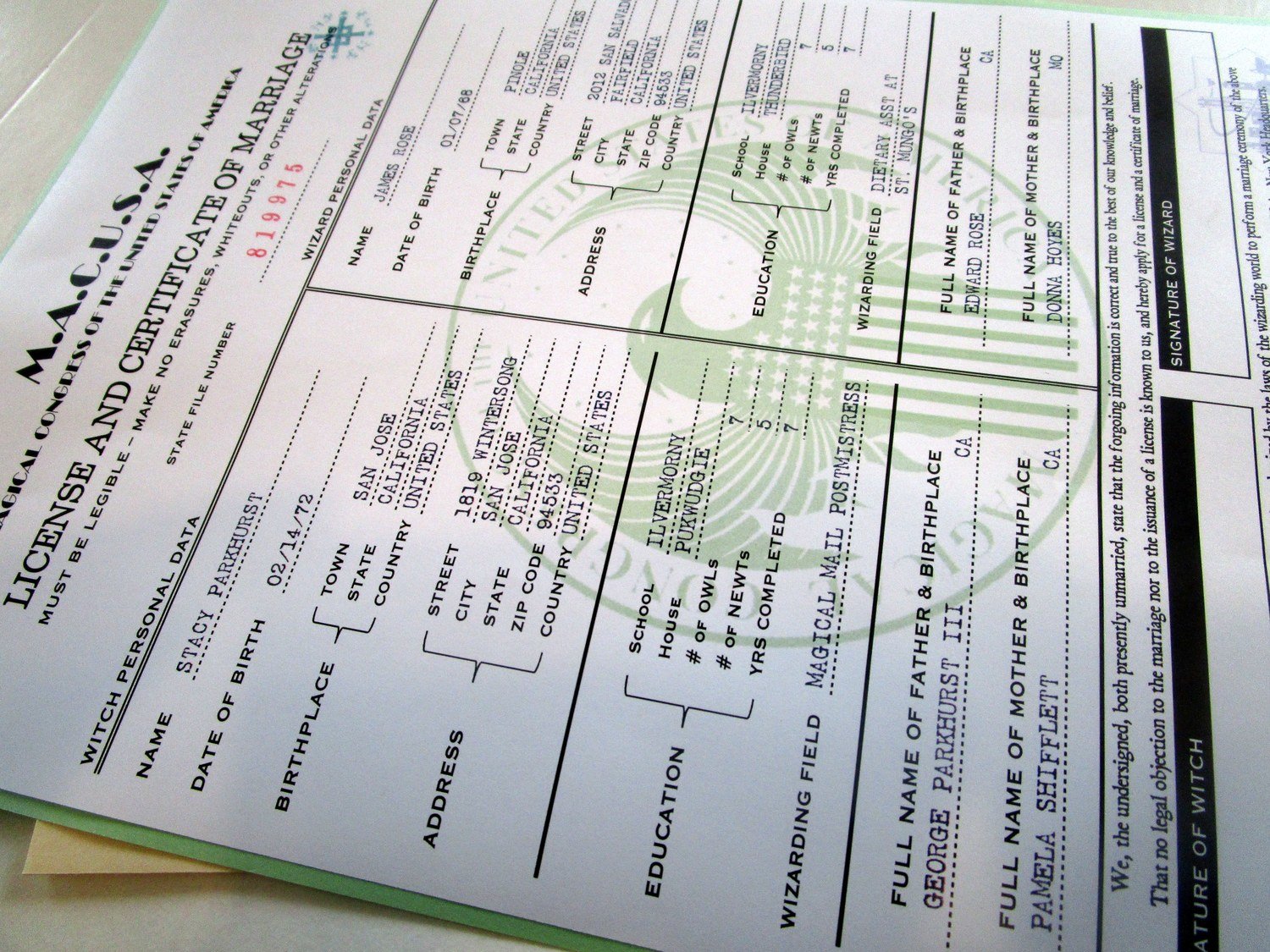 Wizarding Government Personalized Marriage Certificate, Style: American - MACUSA
