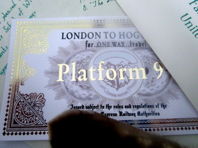 *Wizarding School Express Train Ticket