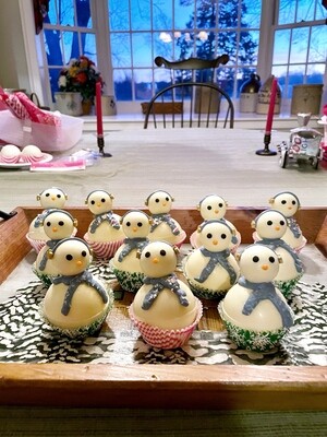 Snowfriend Hot Cocoa Bomb