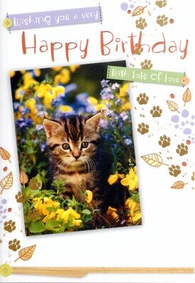 Cat Birthday card