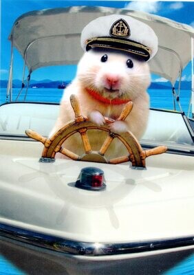 Captain Hamster