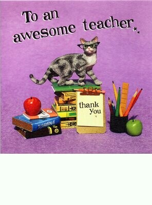 To an awesome teacher