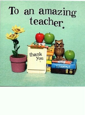 To an amazing teacher
