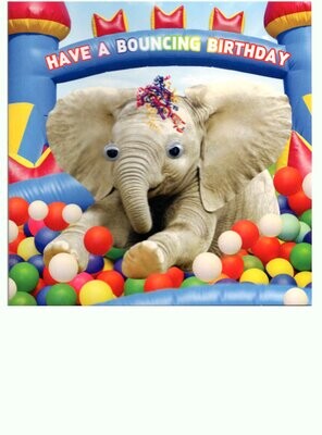 ​Ball Pit and Elephant Fun