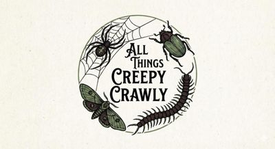 All Things Creepy Crawly Invertebrate Expo