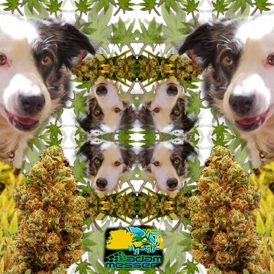 Custom Furry Friend Art Piece by DJ My-Style