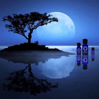 Peaceful Night Essential Oil Blend 12ml Peaceful Night Essential Oil Blend 12ml
