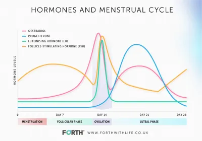 Hormone Tests