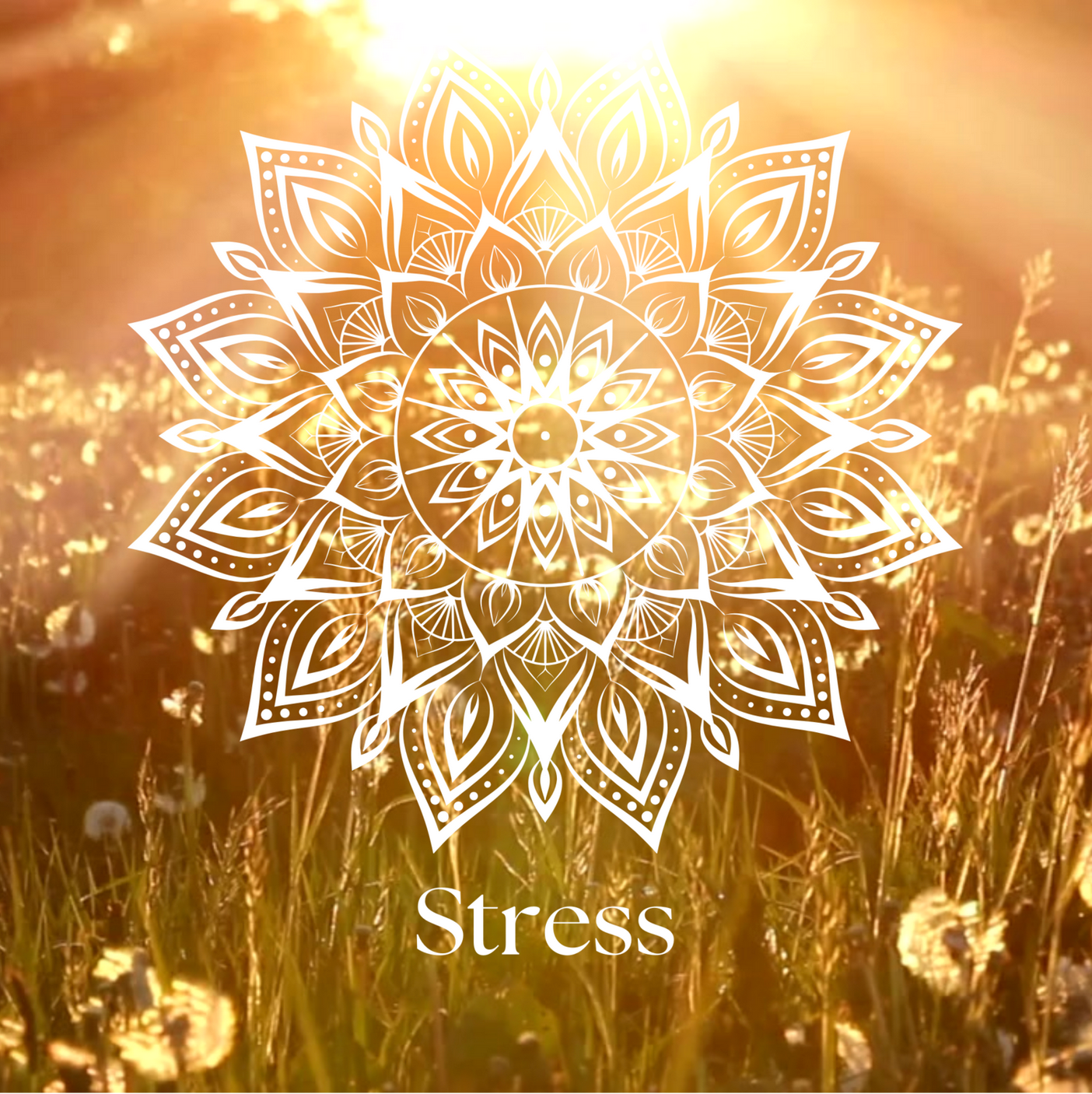 Stress Less