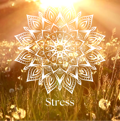 Stress Less