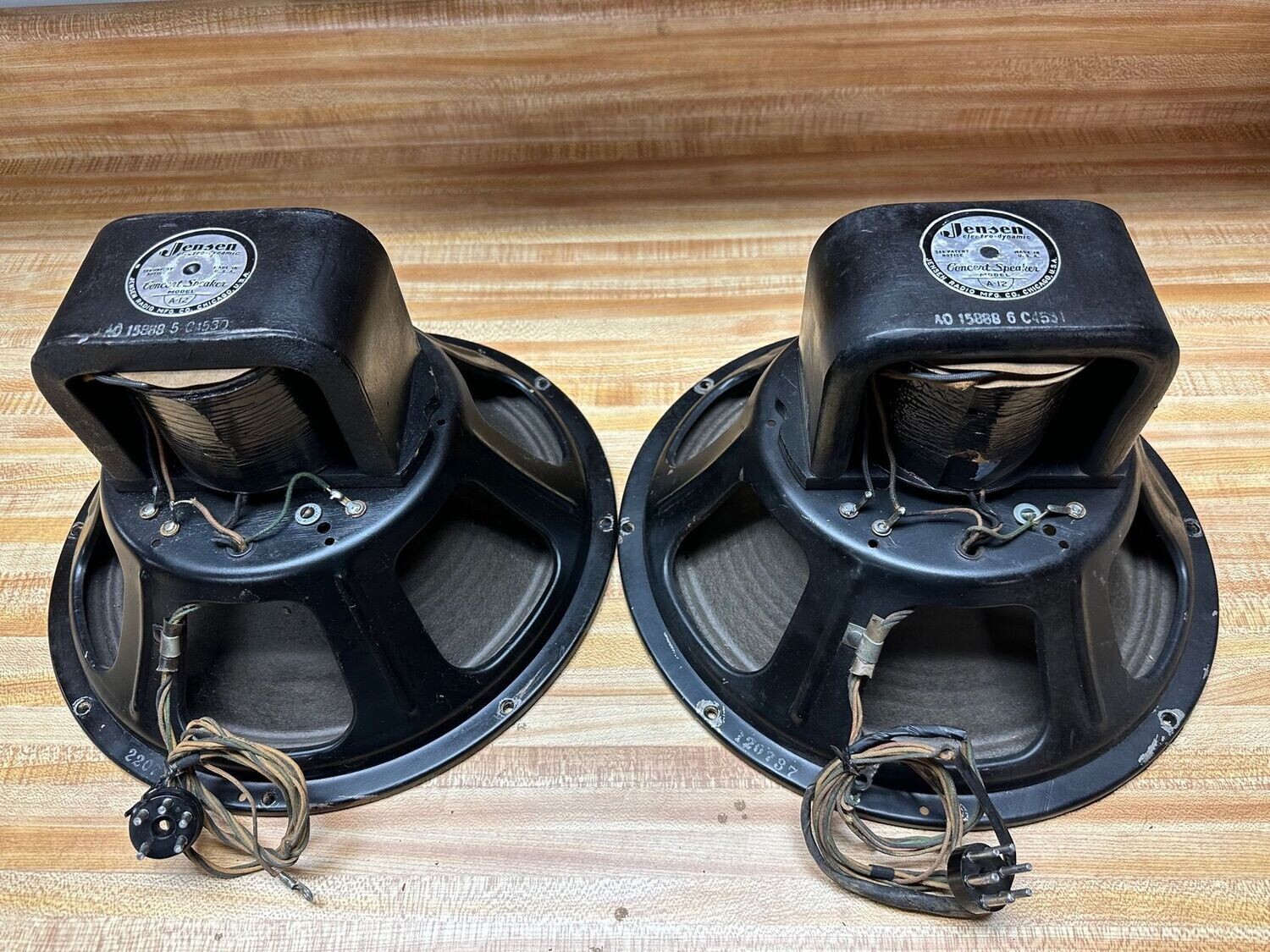 Jensen Field Coil Concert Speakers A-12 (Pair) with Power Amp