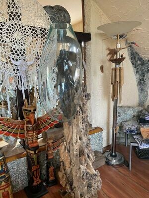 Wurzelholz Glasvase Dekoglas