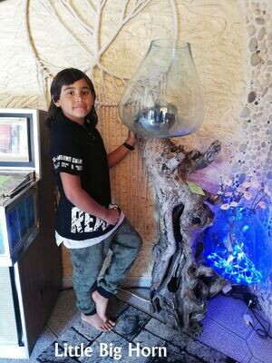 Wurzelholz Glasvase Dekoglas