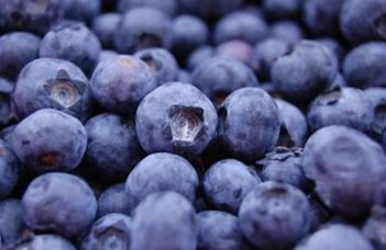 450g Blueberries