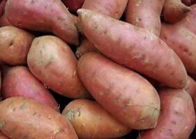 Sweet Potato