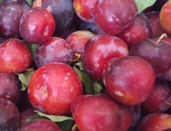 Plums