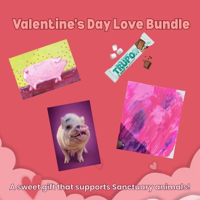Valentine’s Day Love Bundle