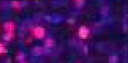 Flex pvc SPARKLE VIOLET