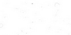 Flock BLANC S0001