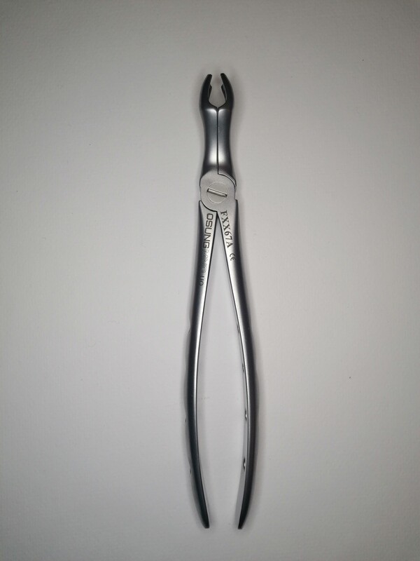 Extraction Forceps (Asian) FXX67A