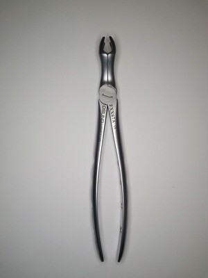 Extraction Forceps (Asian) FXX67A