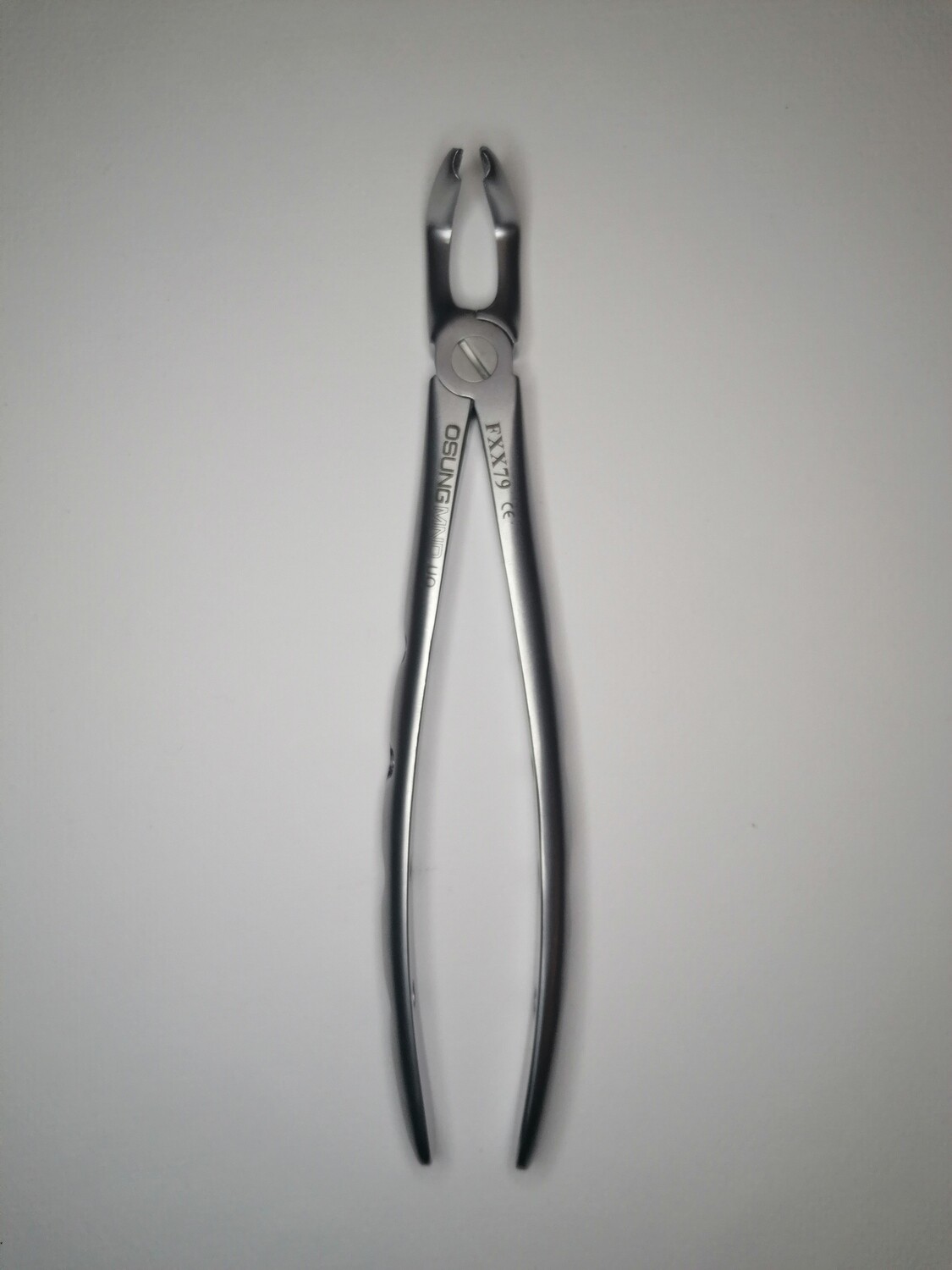 Extraction Forceps ( Asian )FXX79