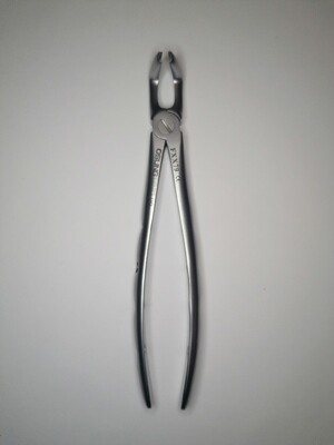 Extraction Forceps ( Asian )FXX79