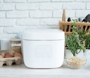 Nồi cơm điện (rice cookers)