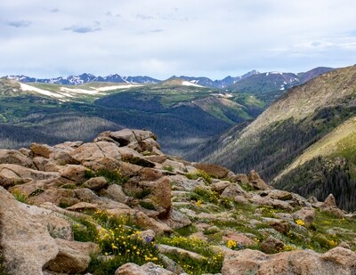 Nature Photo Cards: Trail Ridge Road, Estes Park, Colorado
