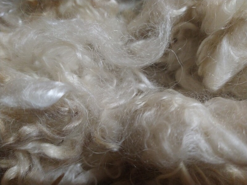 Herd Mix Mohair