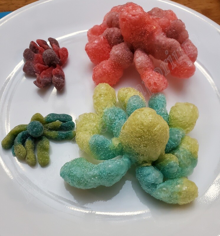 Freeze Dried Gummy Octos