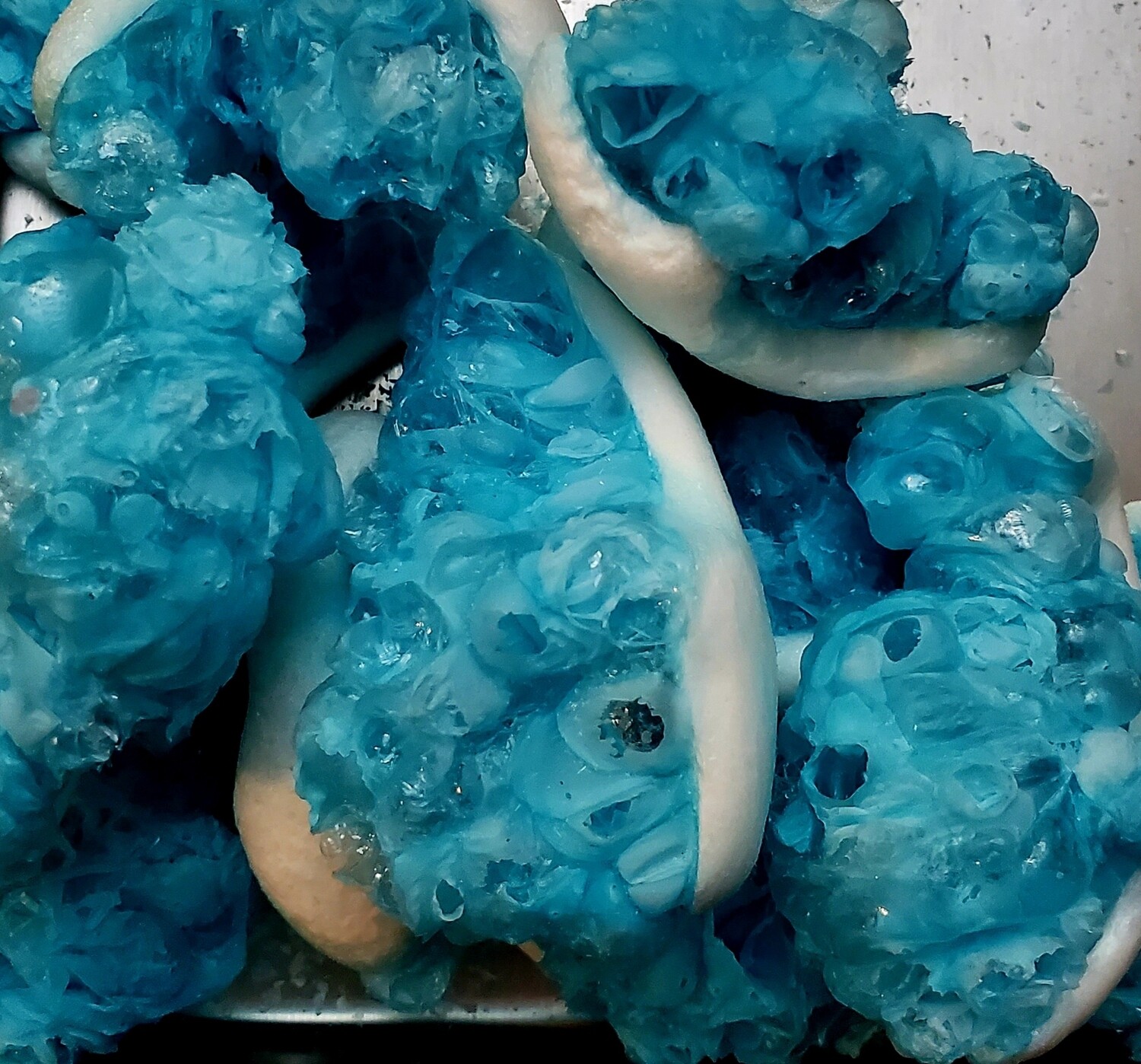 Freeze Dried Blue Raz Gummy Sharks