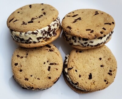 Freeze Dried Chocolate Chip Cookie Ice Cream Sandwich