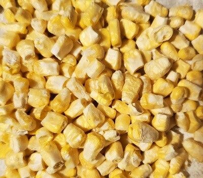 Freeze Dried Corn Nibs