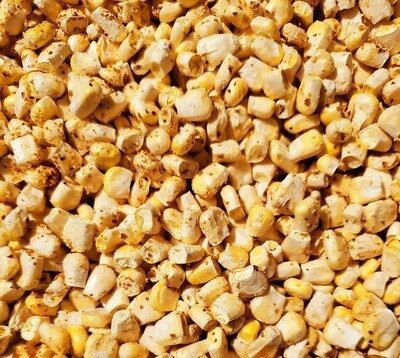 Freeze Dried Corn Nibs