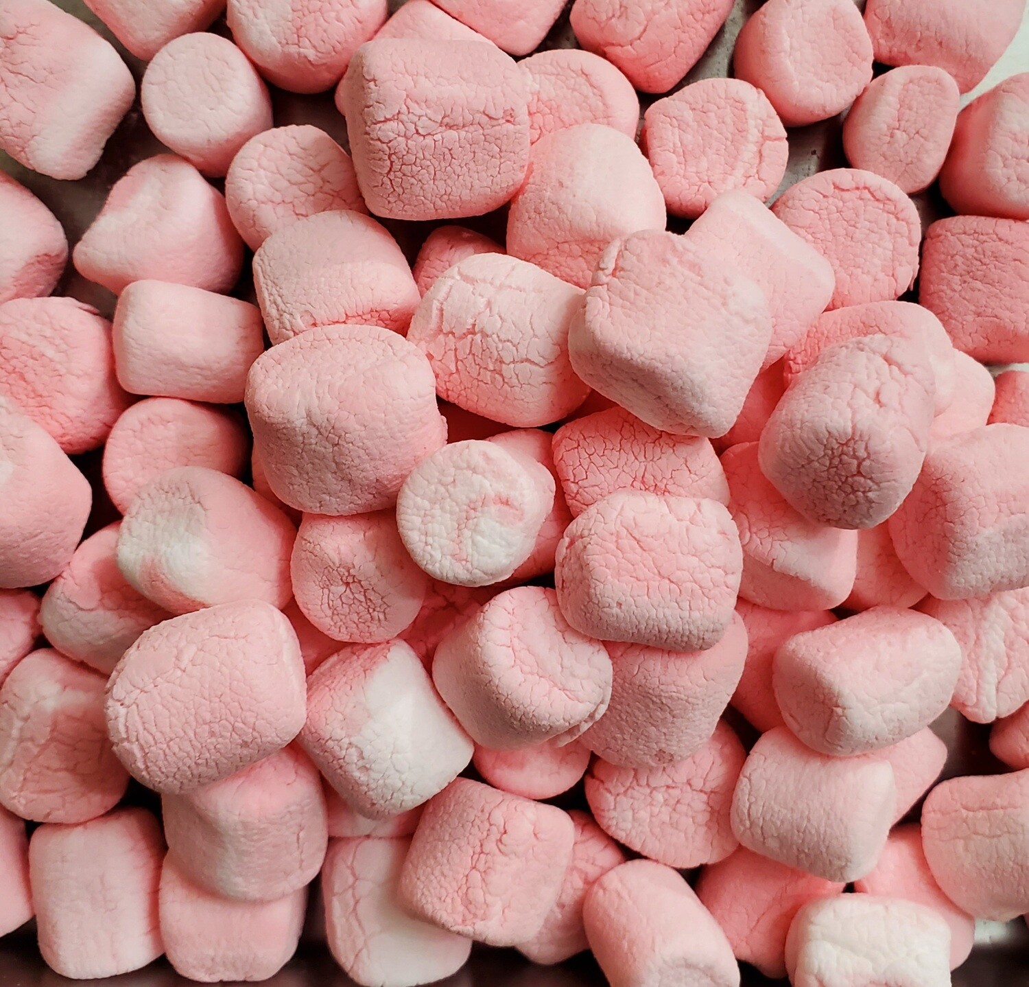 Freeze Dried Peppermint Mallows