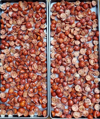 Freeze Dried Tomatoes (Italian Seasoned), Size: SM