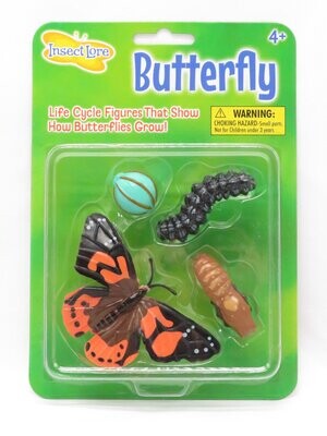 Levencyclus vlinder